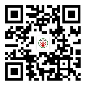 http://m.xhlsm.com專(zhuān)業(yè)承接煙囪拆除,人工拆除煙囪專(zhuān)業(yè)公司等各類(lèi)高空工程。